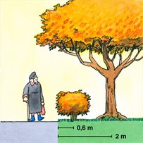 Illustration när det blir fel