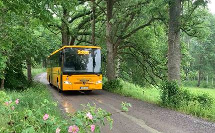 Skolbuss på grusväg, nyponblommor i vägkanten