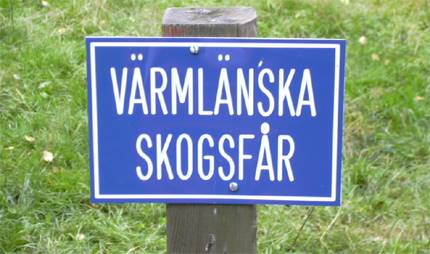 Kla och Jrnskog -Skillingmark, ska vara en ppen mtesplats med Kristus i centrum och den enskilda mnniskan i Jag r 40 r gammal och kommer frn Vrt ml - Svenska kyrkan