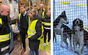 F&#246;retagsbes&#246;k - Svensk Tr&#228;lackering