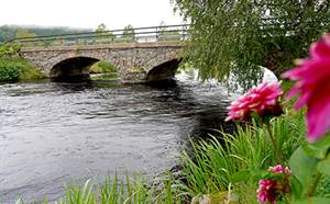 Eda klättrar som en raket i SKR:s servicemätning