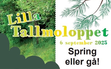 En bild som beskriver Lilla Tallmoloppet